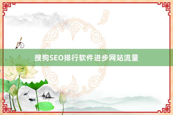 搜狗SEO排行软件进步网站流量