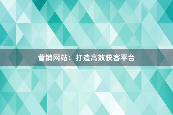 营销网站：打造高效获客平台